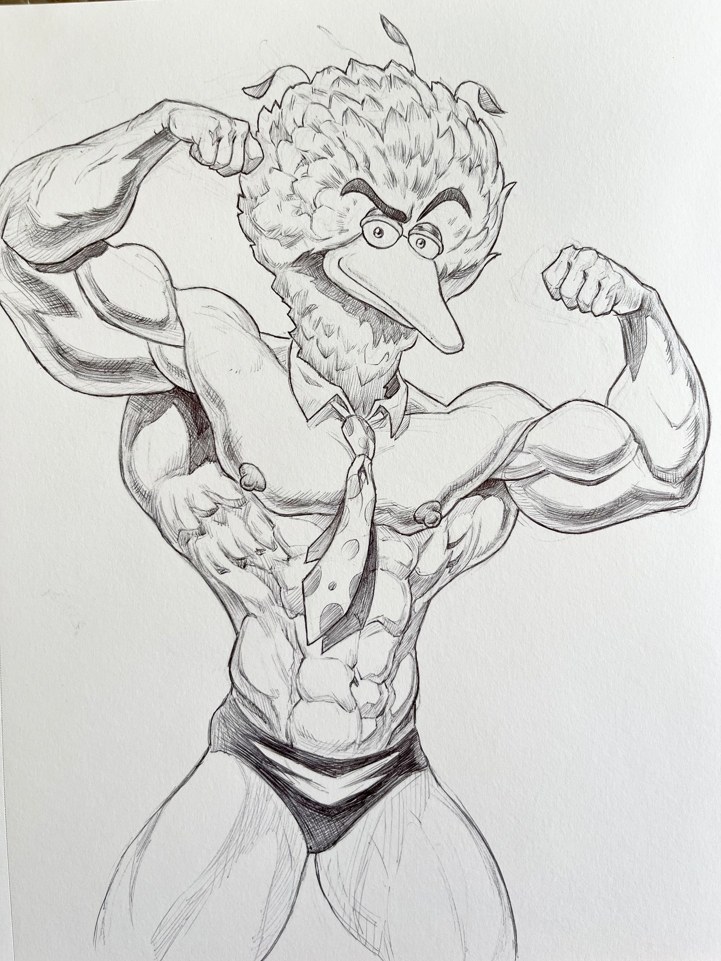 Big Bird – 9×12 Original Sketch